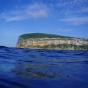 Darwin Island 5.JPG